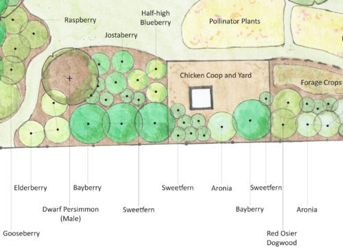Montague Urban Homestead Landscape Design