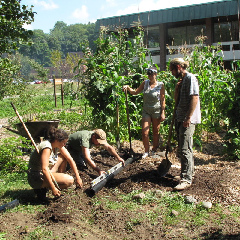 Mapping the Permaculture Education Ecosystem