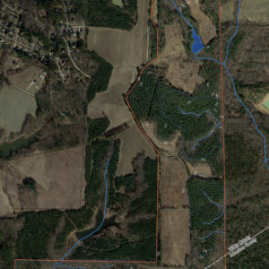aerial photo with highlighted topo lines and wetlands