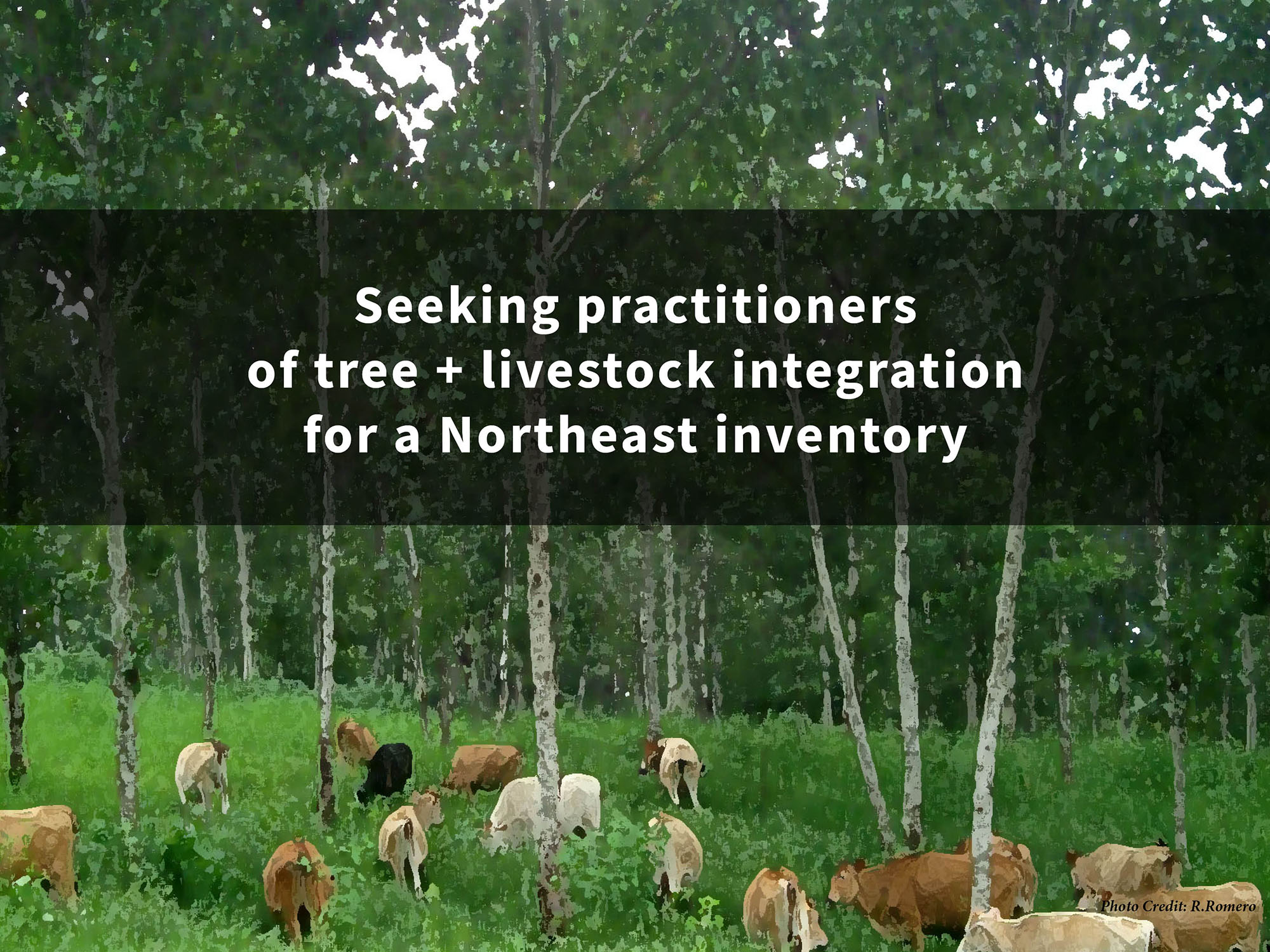 Northeast Silvopasture Inventory