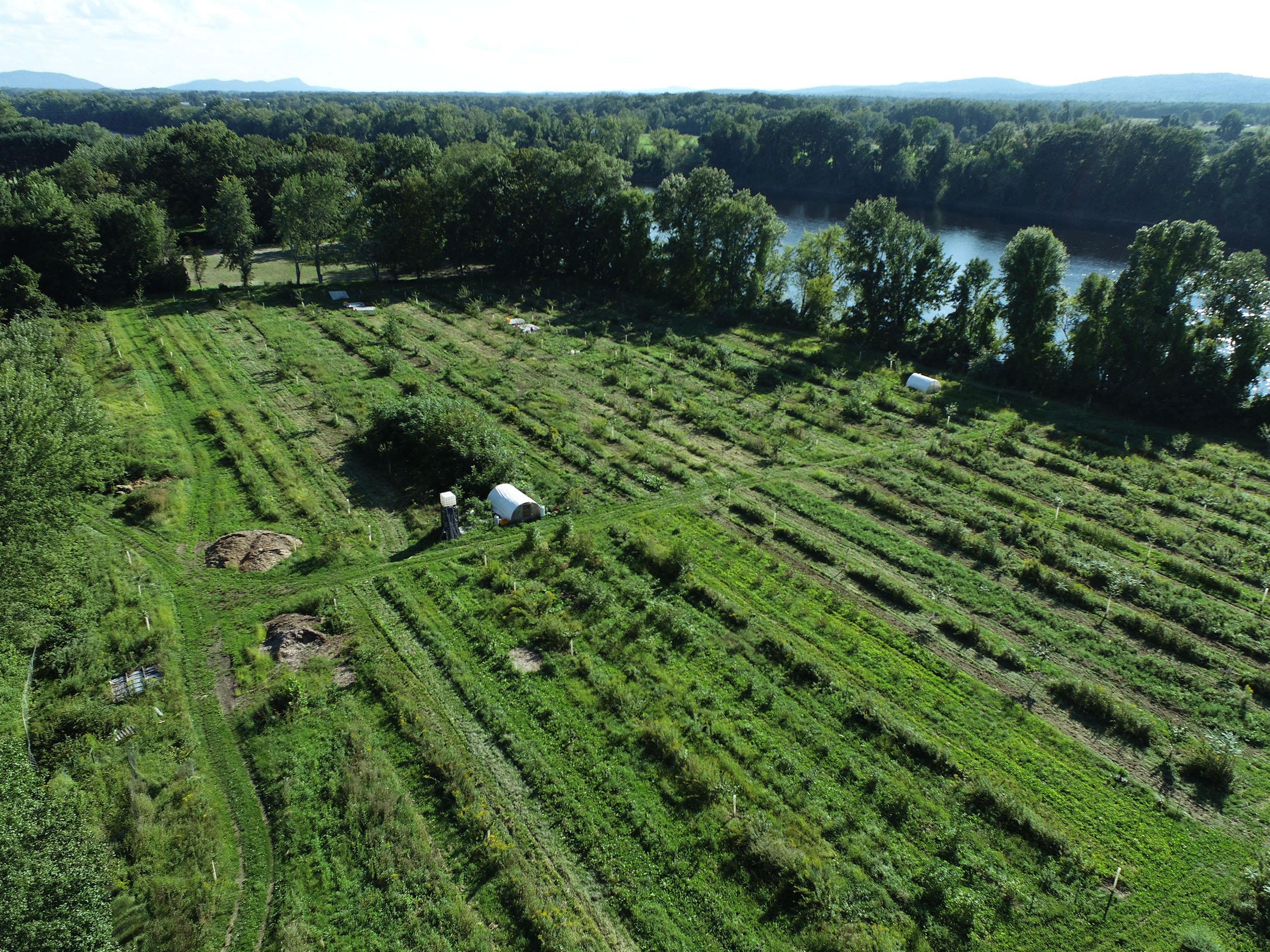 Expanding Agroforestry and Nut Crops in Massachusetts