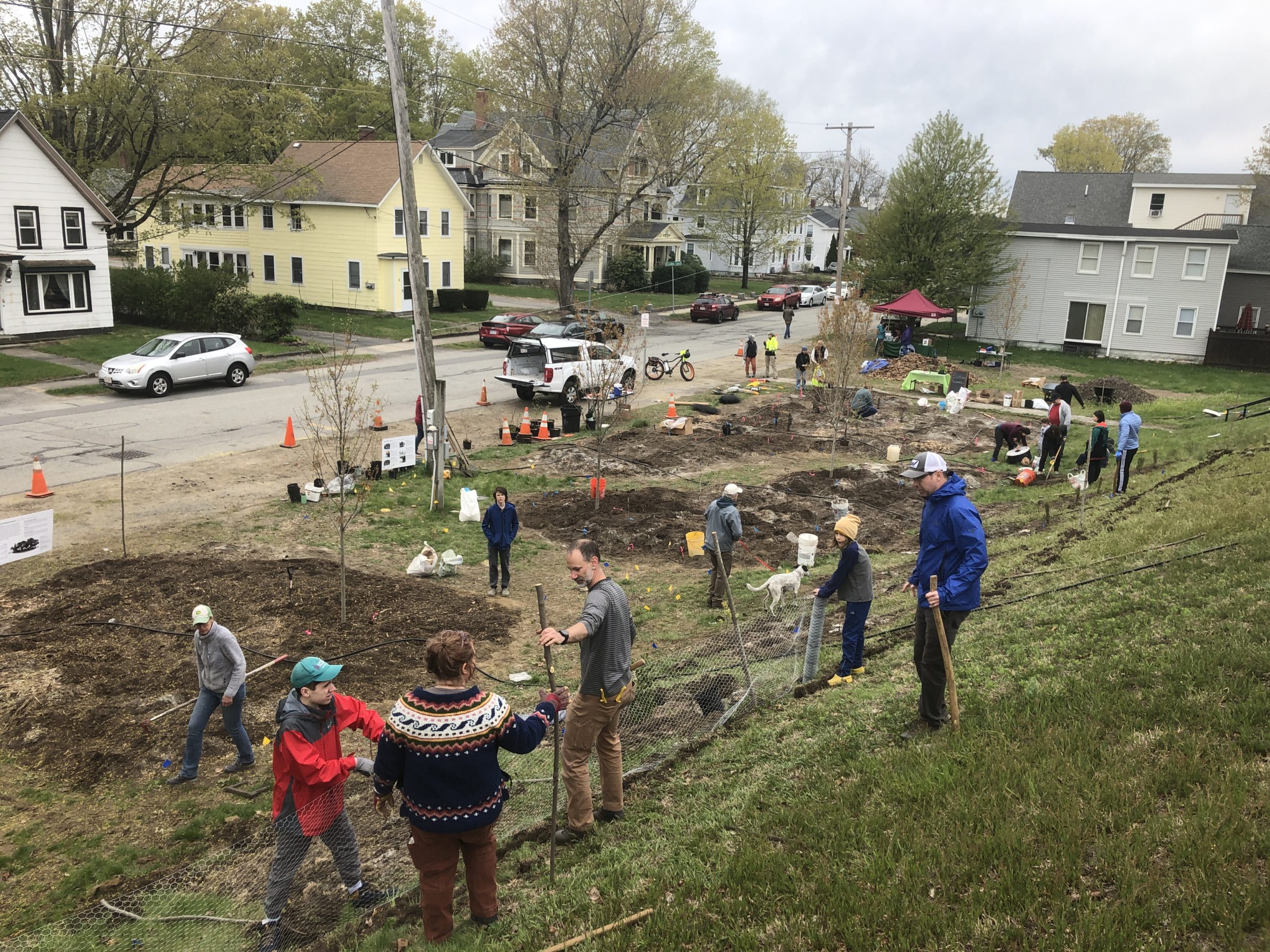 Community volunteers planting the Ayer-Devens Pocket Forest